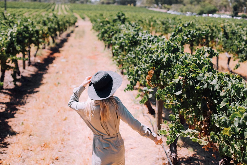 Girl in a sun hat walking through a vineyard
