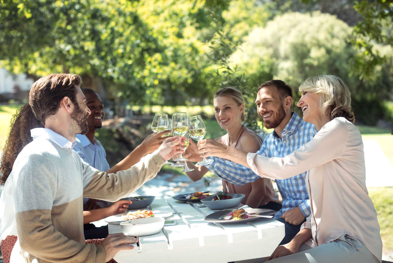 Group of friends toasting glasses of wine in a vineyard